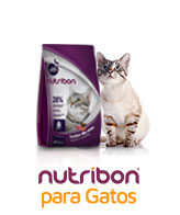 nutribon para gatos promo sorteo mundial nutribon