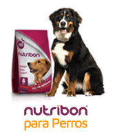 nutribon para perros promo sorteo mundial nutribon