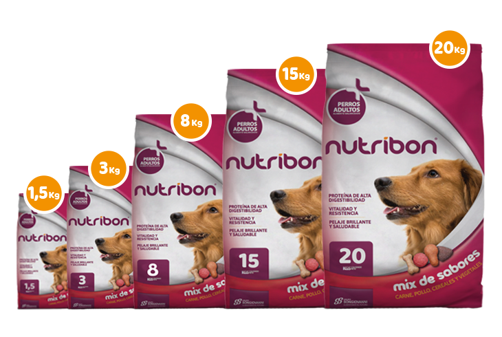 presentaciones bolsa de alimento para perros adultos nutribon plus