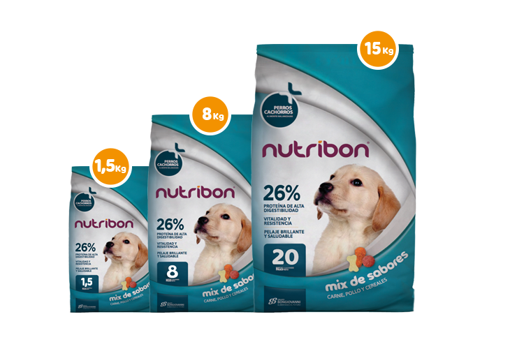 presentaciones bolsa de alimento para perros cachorros nutribon plus