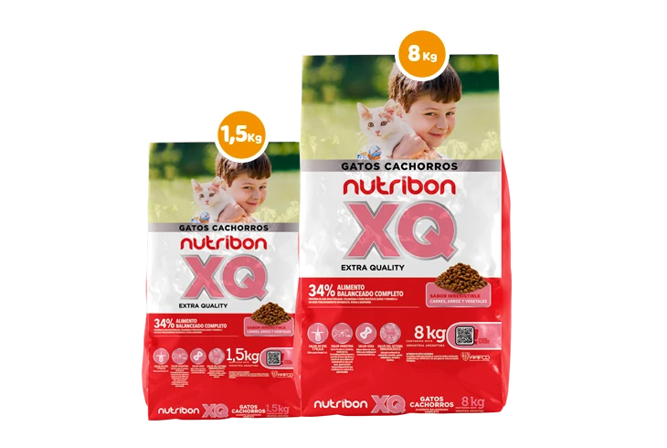 presentaciones bolsa de alimento para gatos cachorros nutribon xq