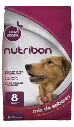 bolsa de alimento para perros adultos nutribon plus