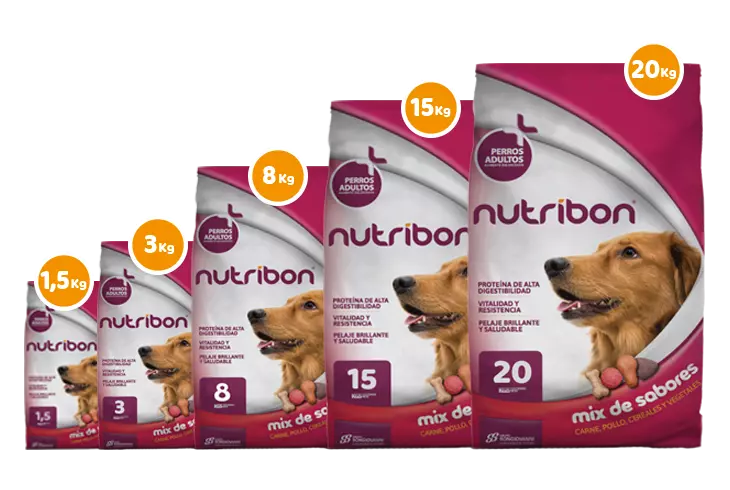 presentaciones bolsa de alimento para perros adultos nutribon plus