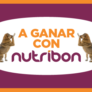 concurso nutribon alimento para mascotas septiembre